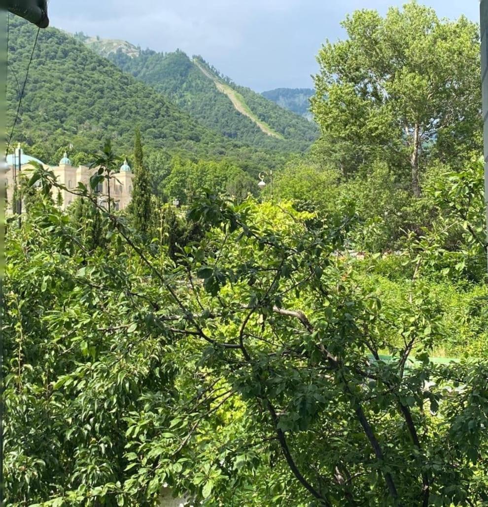 Panoramic Tufandag Family Apartment Gabala Esterno foto
